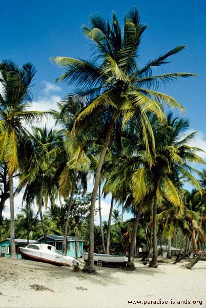 Carlisle Bay Antigua