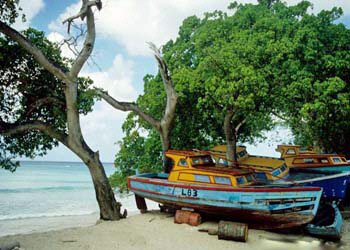 Smitons Bay Barbados