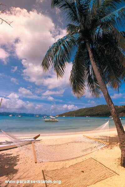 Jost Van Dyke Hammock